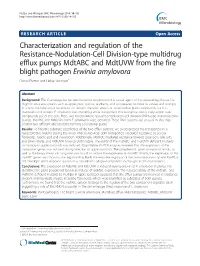 Characterization and Regulation of the Resistance-Nodulation-Cell