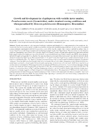 Growth and Development in a Lepidopteran with Variable Instar