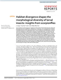 Habitat Divergence Shapes the Morphological Diversity Of