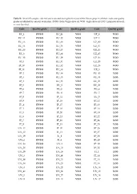 PDF-Document
