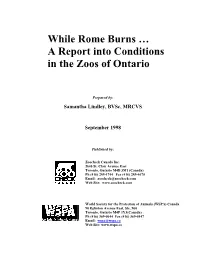 While Rome Burns…A Report Into Conditions in the Zoos of Ontario