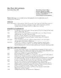 CV En Extenso