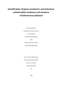 Identification of Genes Involved in Acid Tolerance, Antimicrobial Resistance and Virulence of Enterococcus Faecium