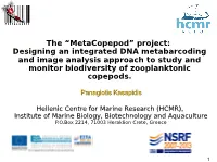 The “Metacopepod” Project: Designing an Integrated DNA Metabarcoding and Image Analysis Approach to Study and Monitor Biodiversity of Zooplanktonic Copepods