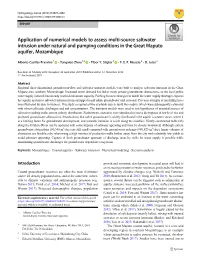 Application of Numerical Models to Assess Multi-Source Saltwater Intrusion Under Natural and Pumping Conditions in the Great Maputo Aquifer, Mozambique