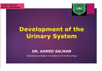Development of the Urinary System