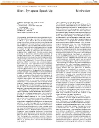 Silent Synapses Speak up Minireview