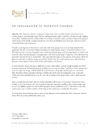 An Explanation of Botrytis Cinerea