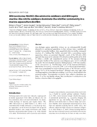 Nitrosomonas Nm143-Like Ammonia Oxidizers and Nitrospira Marina -Like Nitrite Oxidizers Dominate the Nitri¢Er Community in a Marine Aquaculture Bio¢Lm Barbel¨ U