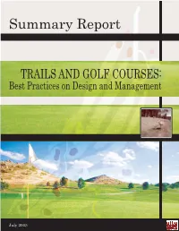 Summary Report
