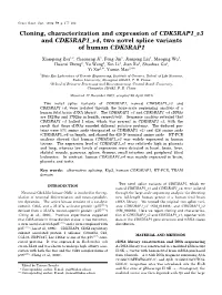 Cloning, Characterization and Expression of CDK5RAP1 V3 and CDK5RAP1 V4, Two Novel Splice Variants of Human CDK5RAP1