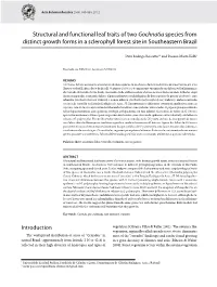Structural and Functional Leaf Traits of Two Gochnatia Species from Distinct Growth Forms in a Sclerophyll Forest Site in Southeastern Brazil
