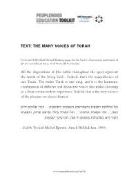 Text: the Many Voices of Torah וכל מחלוקת התנאים והאמוראים והגאונים והפוסקים… דברי