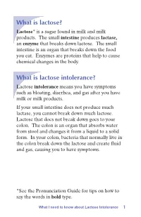 What Is Lactose Intolerance? Lactose Intolerance Means You Have Symptoms Such As Bloating, Diarrhea, and Gas After You Have Milk Or Milk Products
