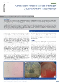 Aerococcus Viridans: a Rare Pathogen Causing Urinary Tract Infection Microbiology Section Microbiology