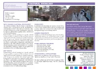 CULTURAL SOCIOLOGY 2Nd Cycle Program Taught at Masaryk University