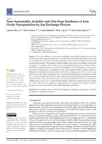 New Sustainable, Scalable and One-Step Synthesis of Iron Oxide Nanoparticles by Ion Exchange Process