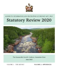 Statutory Review 2020