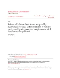 Enhanced Salmonella Virulence Instigated by Bactivorous Protozoa
