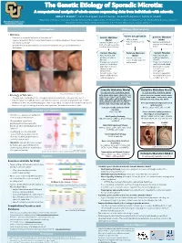 Example of a Scientific Poster