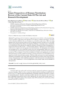 Future Perspectives of Biomass Torrefaction: Review of the Current State-Of-The-Art and Research Development