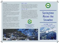 Springtime Above the Snowline