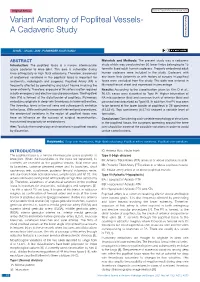 Variant Anatomy of Popliteal Vessels- a Cadaveric Study