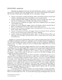 1 RED SNAPPER – Lutjanus Spp. Depending on Language And