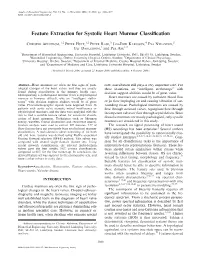 Feature Extraction for Systolic Heart Murmur Classification