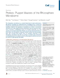 Protists: Puppet Masters of the Rhizosphere Microbiome