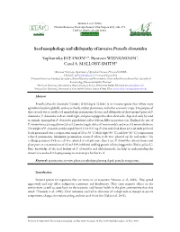 Seed Morphology and Allelopathy of Invasive Praxelis Clematidea