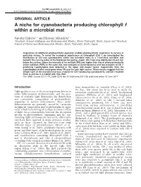 A Niche for Cyanobacteria Producing Chlorophyll F Within a Microbial Mat
