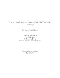 A Novel Regulatory Mechanism of the BMP Signaling Pathway