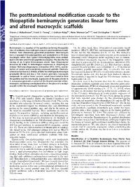 The Posttranslational Modification Cascade to the Thiopeptide