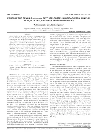Vishwanath Genus Glyptothorax 1443.Pmd