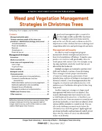 Weed and Vegetation Management Strategies in Christmas Trees