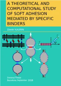 A THEORETICAL and COMPUTATIONAL STUDY of SOFT ADHESION MEDIATED by SPECIFIC BINDERS Dimitri KAURIN