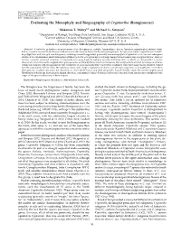 Evaluating the Monophyly and Biogeography of Cryptantha (Boraginaceae)
