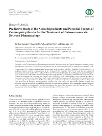 Predictive Study of the Active Ingredients and Potential Targets of Codonopsis Pilosula for the Treatment of Osteosarcoma Via Network Pharmacology