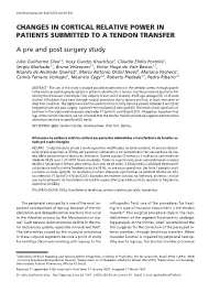 Changes in Cortical Relative Power in Patients Submitted to a Tendon Transfer