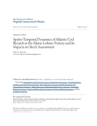 Spatio-Temporal Dynamics of Atlantic Cod Bycatch in the Maine Lobster Fishery and Its Impacts on Stock Assessment Robert E
