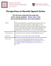 Perspectives on Harmful Speech Online