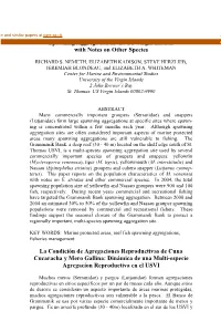 Status of a Yellowfin (Mycteroperca Venenosa) Grouper Spawning