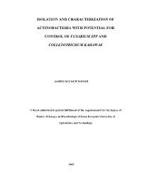 Isolation and Characterization of Actinobacteria with Potential for Control of Fusarium Spp and Colletotrichum Kahawae