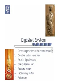 Digestive System PDF