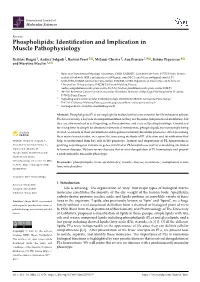 Phospholipids: Identiﬁcation and Implication in Muscle Pathophysiology