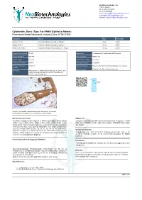 Epithelial Marker) Recombinant Rabbit Monoclonal Antibody [Clone KRTH/1576R]