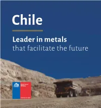 Leader in Metals That Facilitate the Future