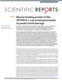 Myosin Binding Protein H-Like (MYBPHL): a Promising Biomarker