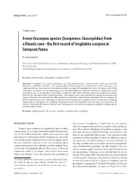 Scorpiones: Euscorpiidae) from a Dinaric Cave - the First Record of Troglobite Scorpion in European Fauna